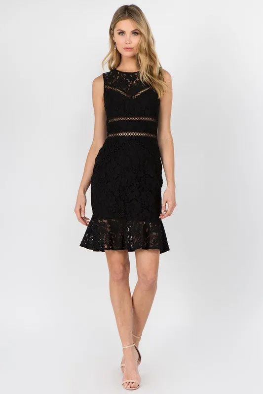 Bodycon Lace Mini Dress