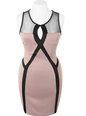 Plus Size Designer Bodycon Mesh Taupe Dress